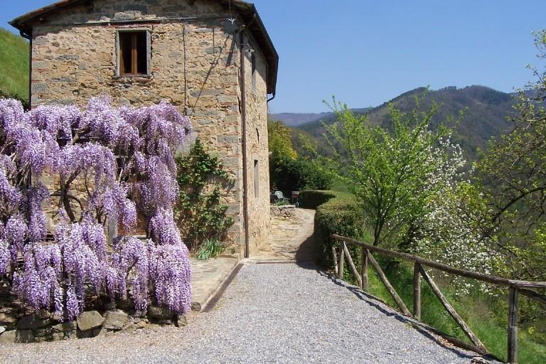 Fattoria Di Pietrabuona Leilighet Pescia Eksteriør bilde