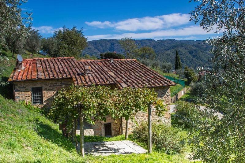 Fattoria Di Pietrabuona Leilighet Pescia Eksteriør bilde